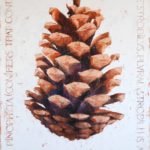 Botanica and Igor Shulman Project "Botanica". Cone original painting by Igor Shulman