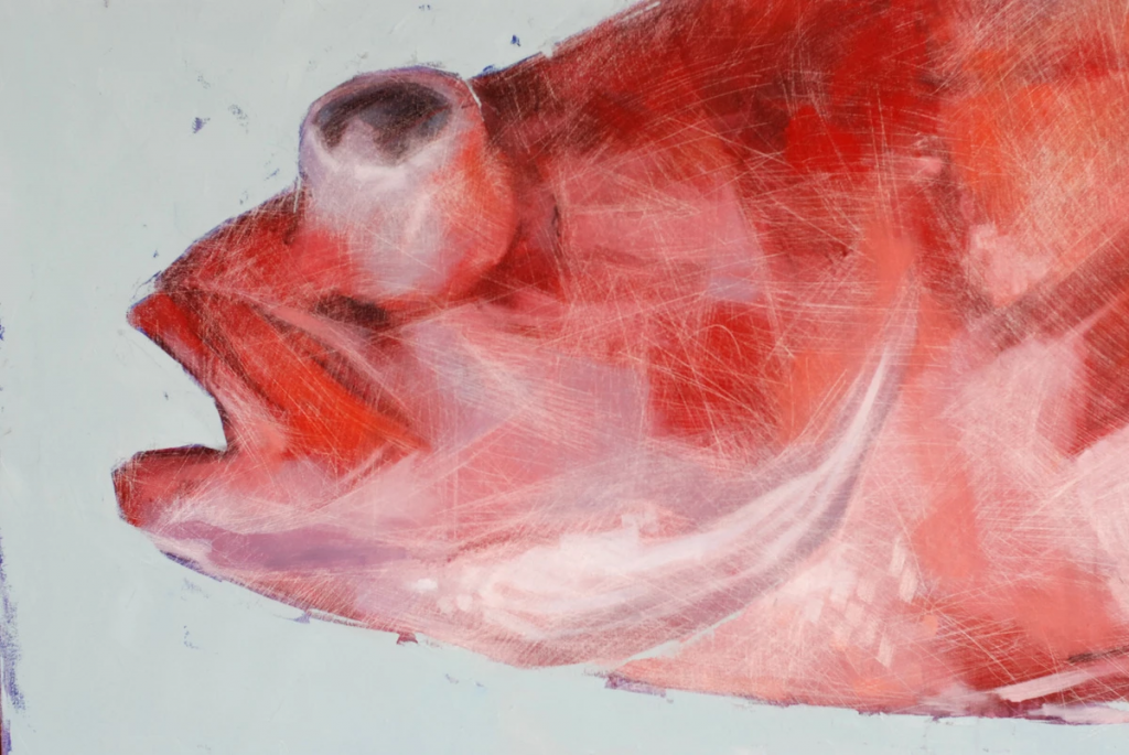 Close-up of red brushstrokes forming sea bass body texture