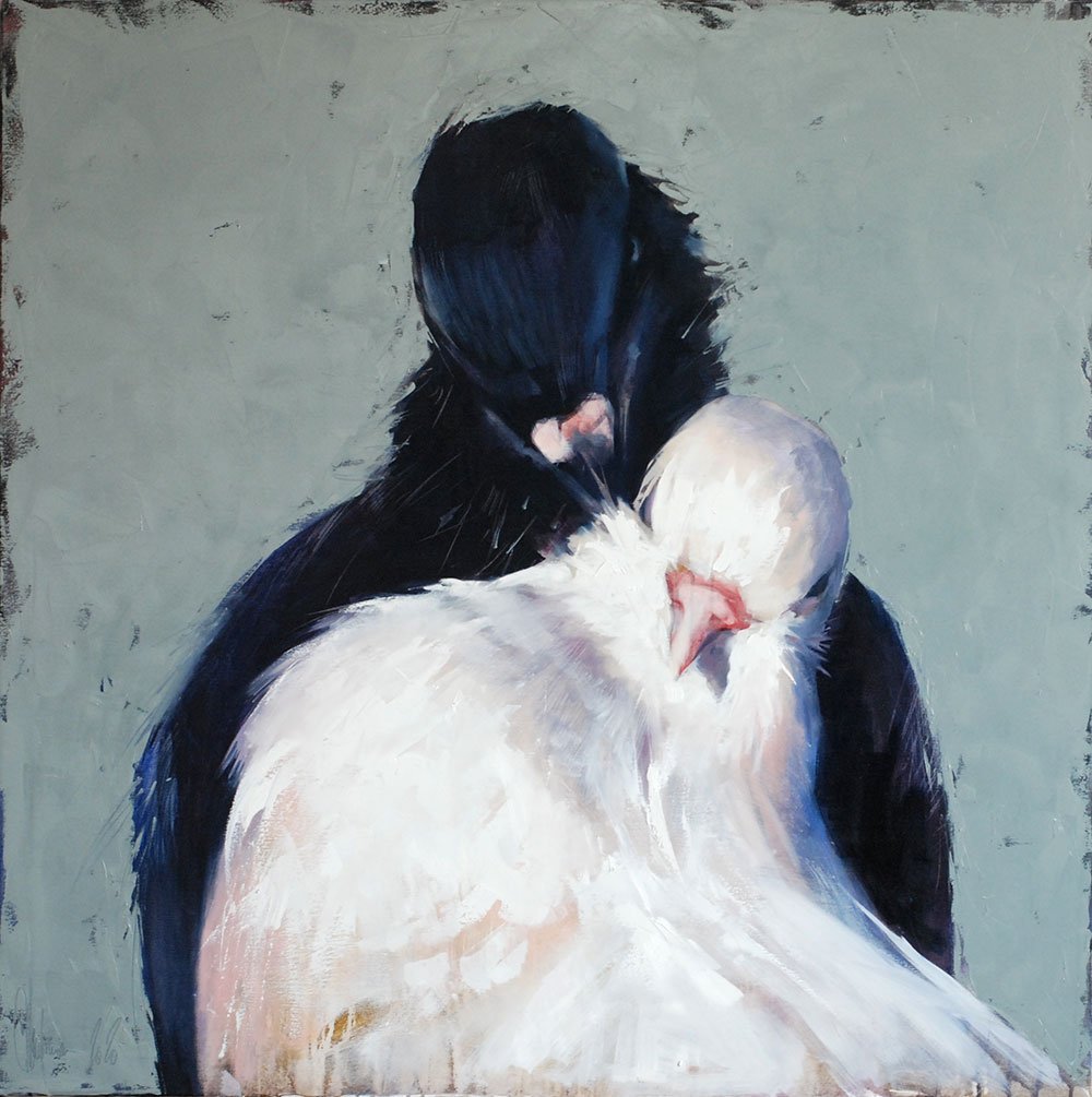 Bird's collection by Igor Shulman