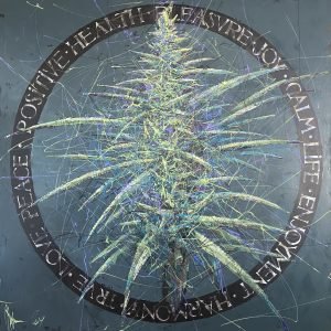 Marijuana Legalization in Czech Republic