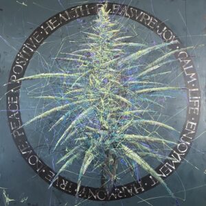 Marijuana Legalization in Czech Republic