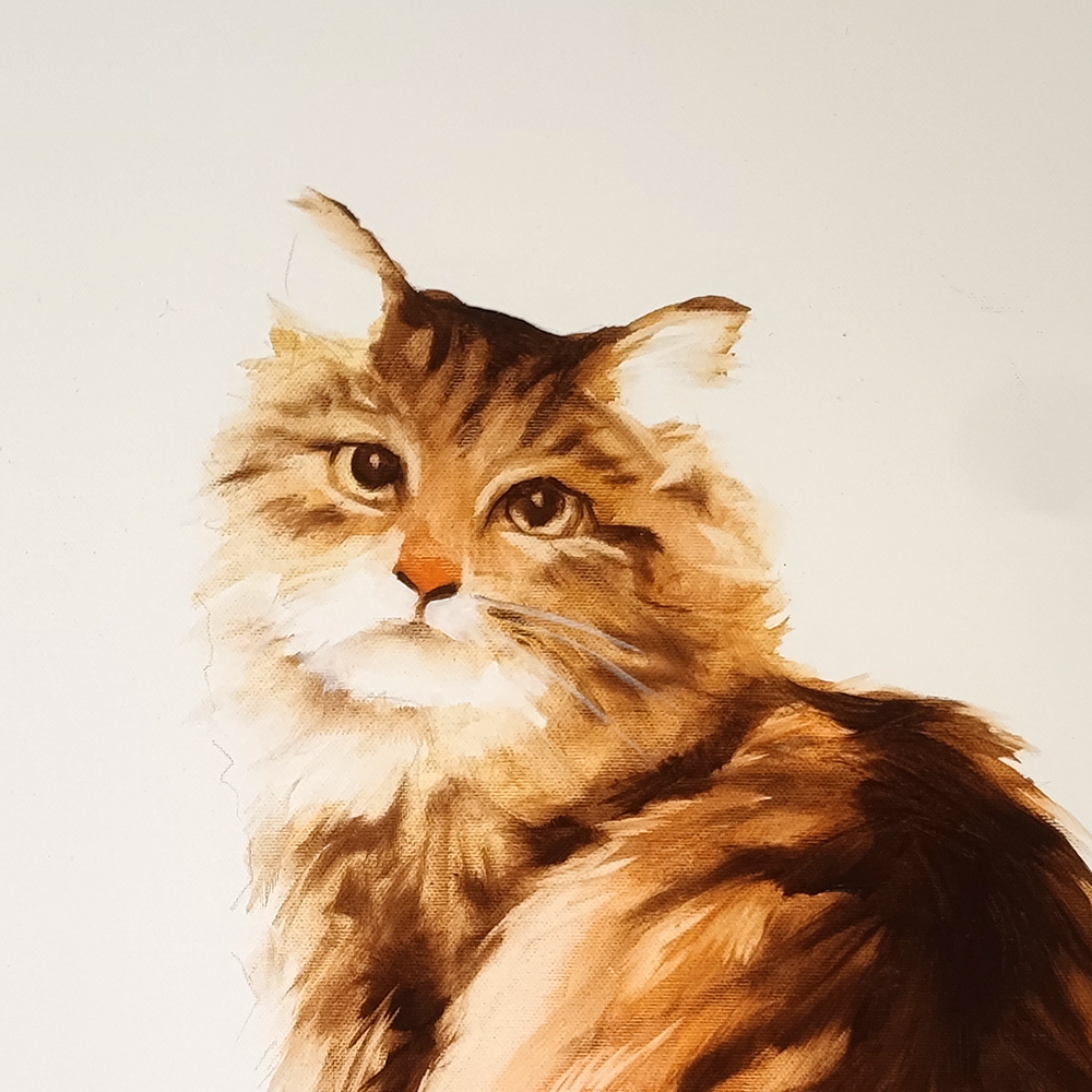 Close-up of the reclining cat in Cats by Igor Shulman showing facial expression and fur texture