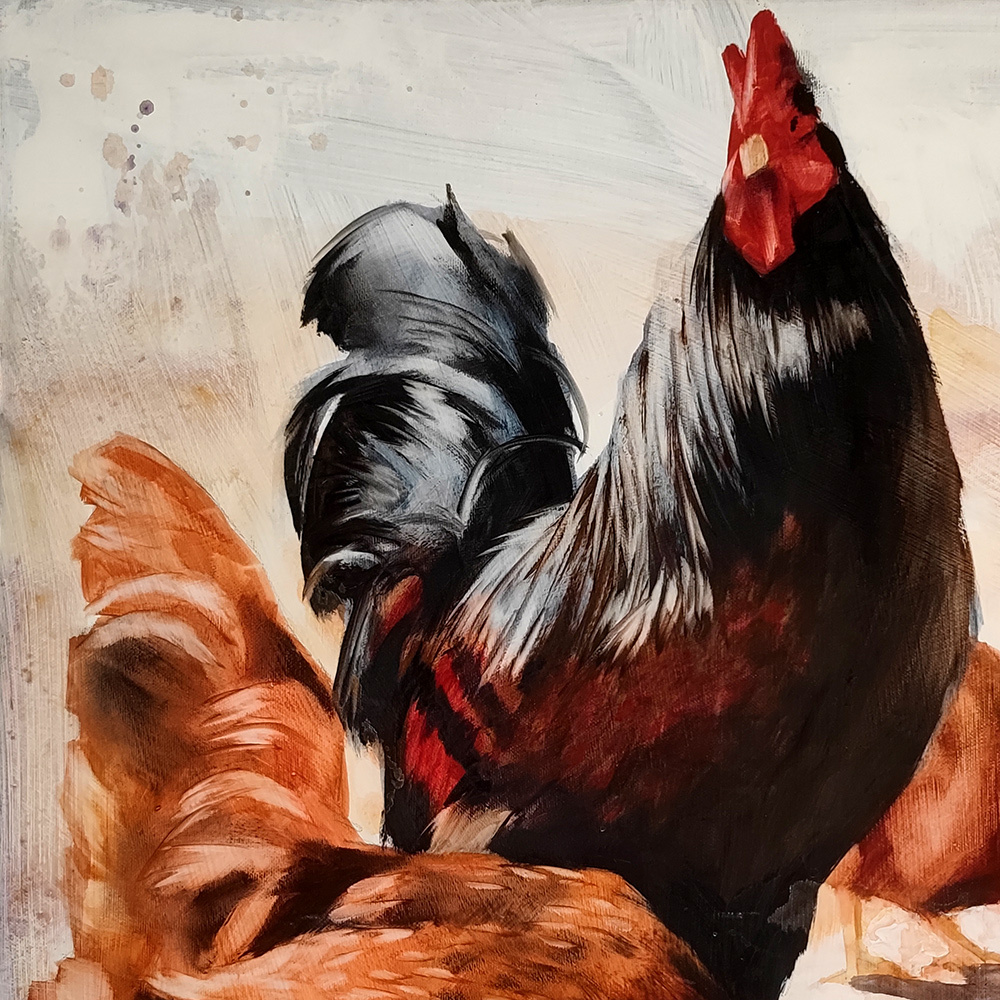 Close-up of the black rooster in Chicken Yard by Igor Shulman