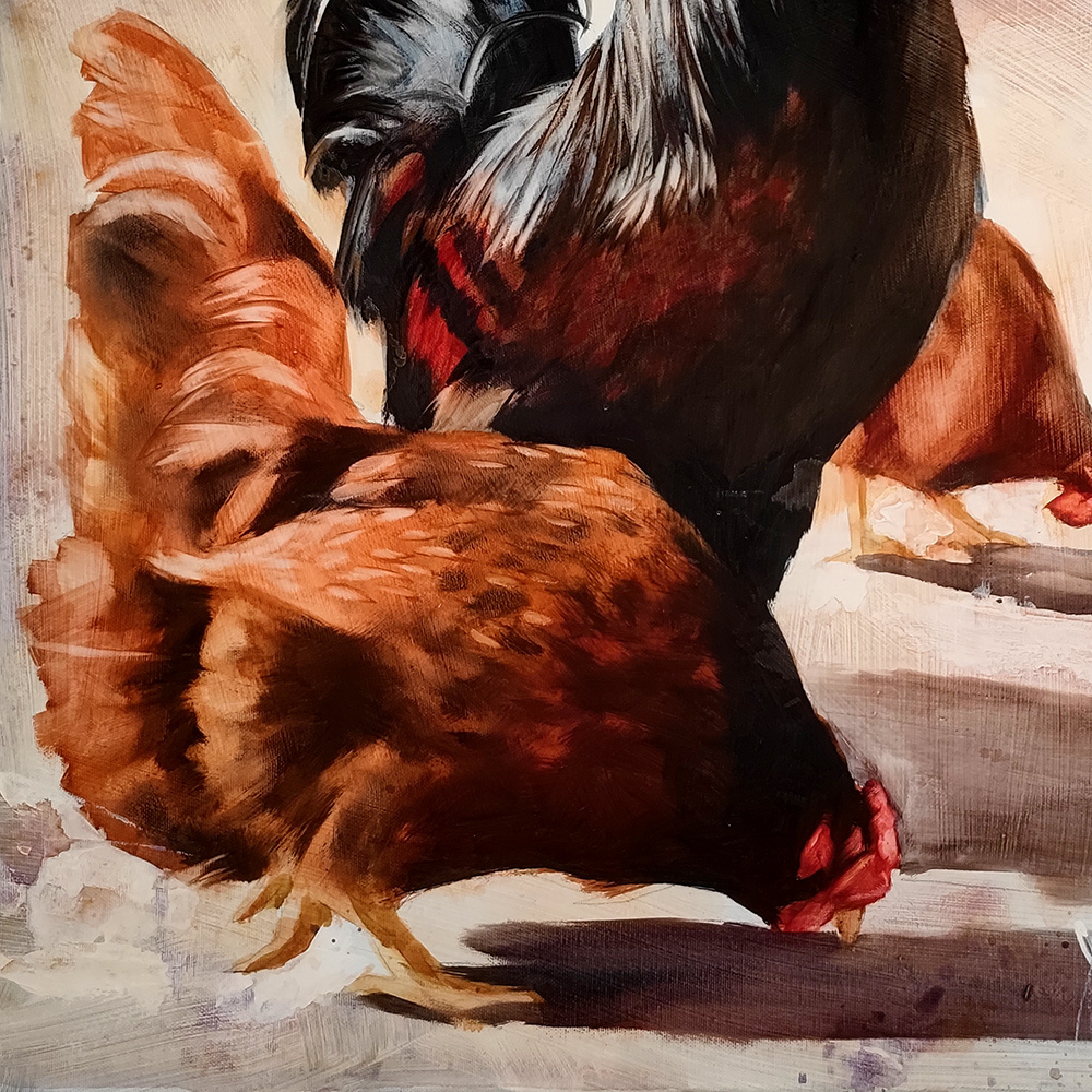 Close-up of brown hen in Chicken Yard by Igor Shulman
