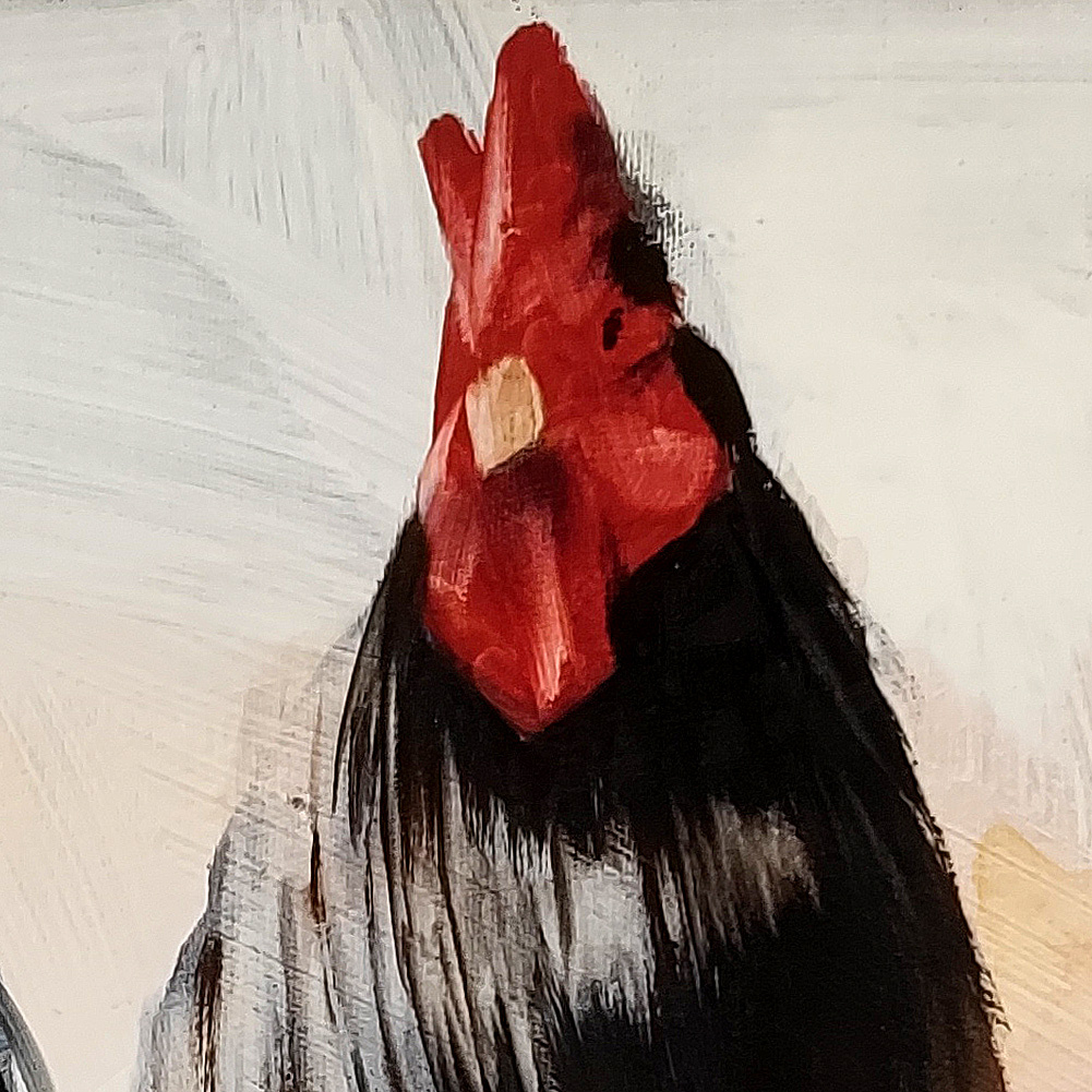 Rooster comb and feather detail in Chicken Yard by Igor Shulman