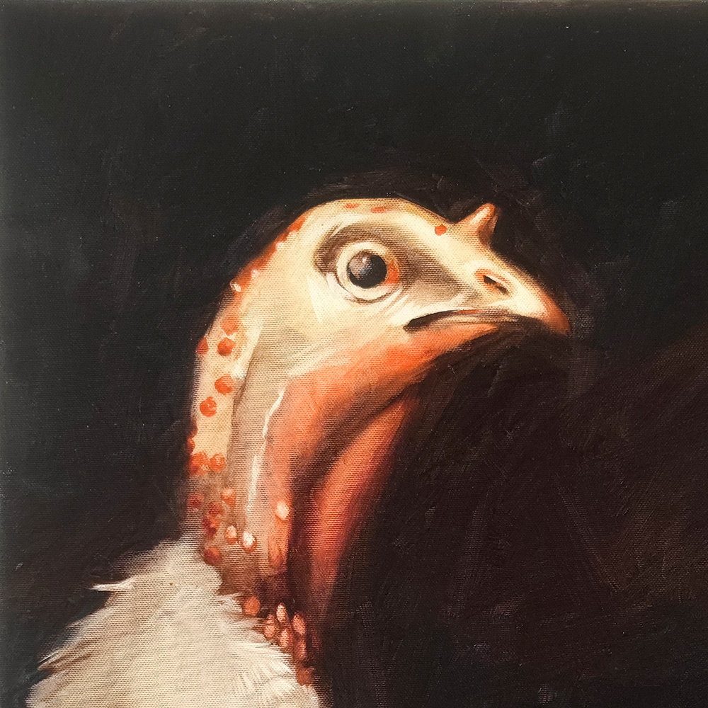 Close-up of the turkey's head in Turkey Portrait by Igor Shulman