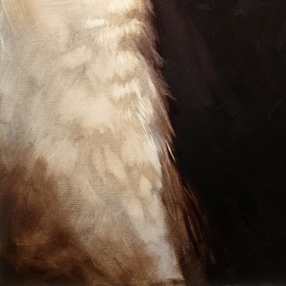 White feather detail from Turkey Portrait by Igor Shulman